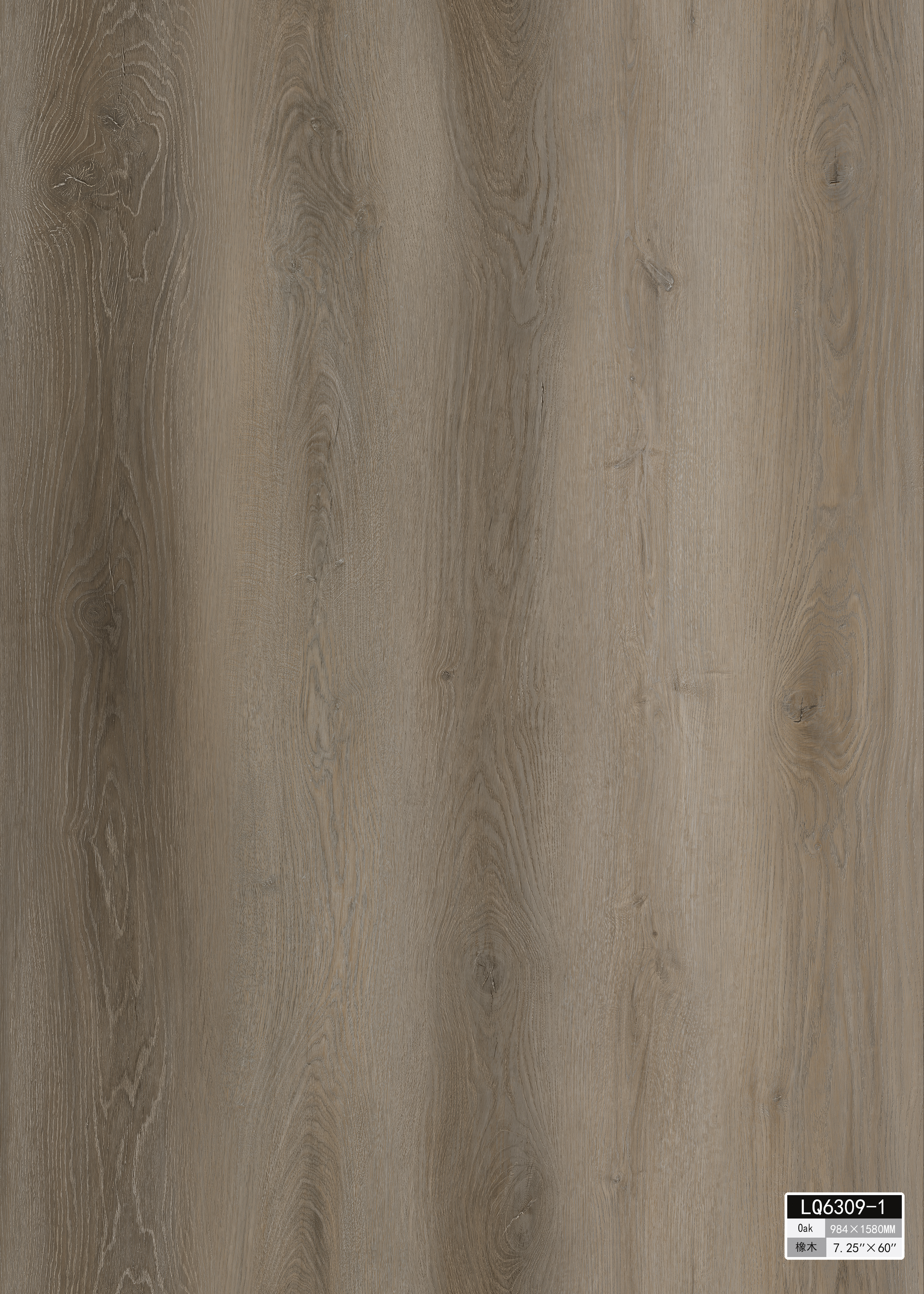 Alpine Series — Cascade