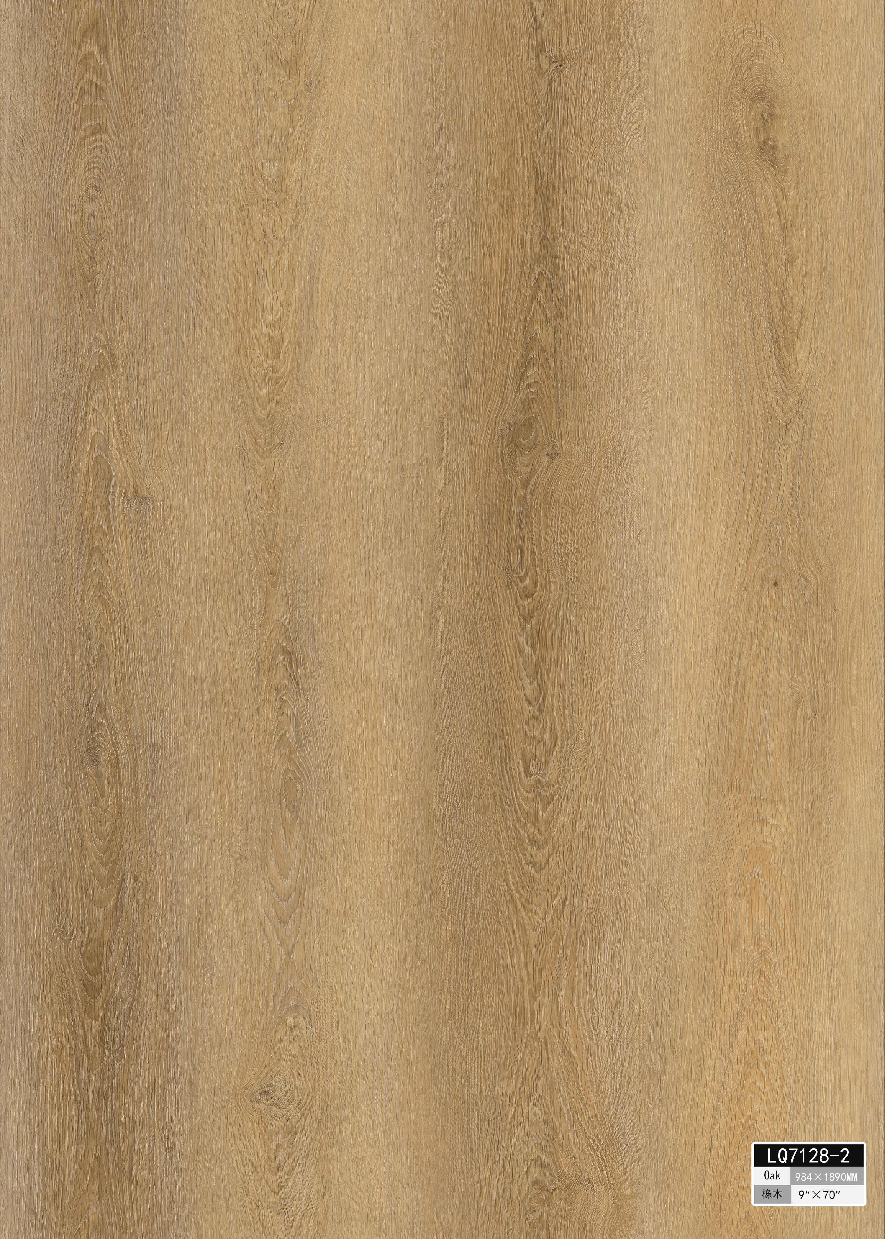 Alpine Series — Shasta