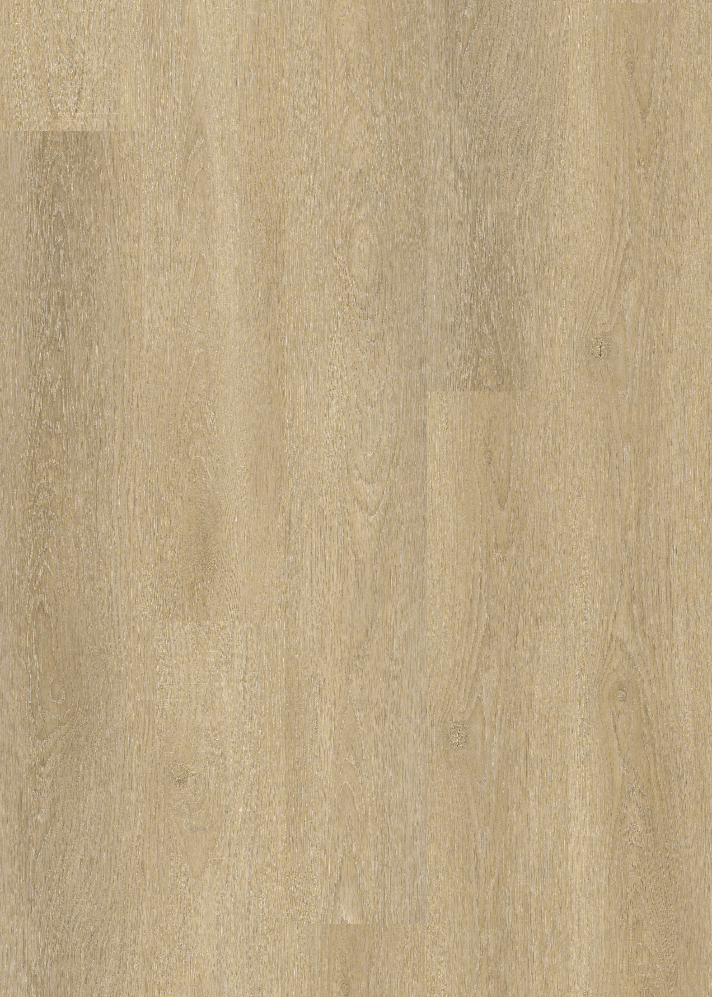 Piazzetta Series — Protetta