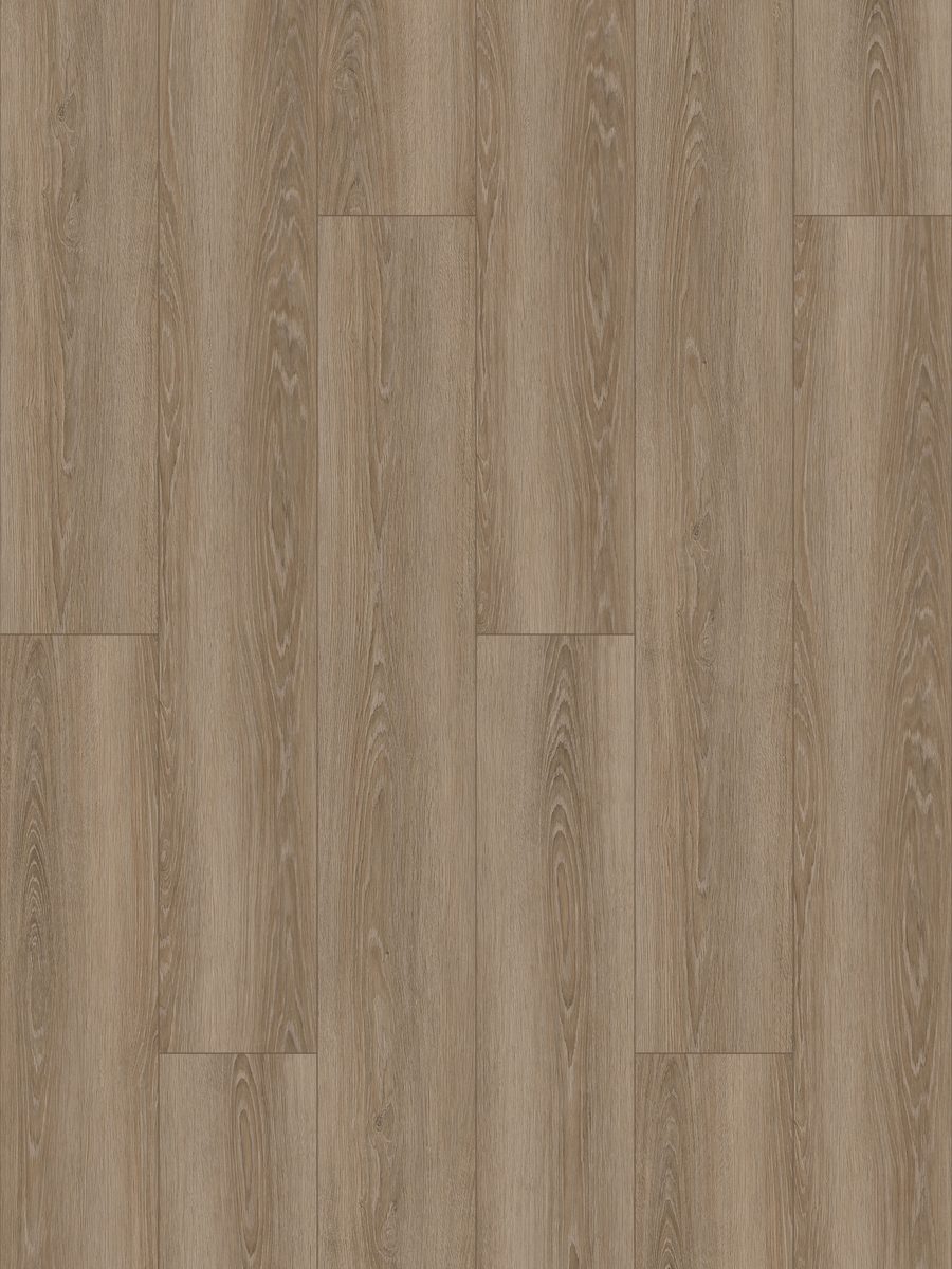 Prime Collection — Chiavari Prime
