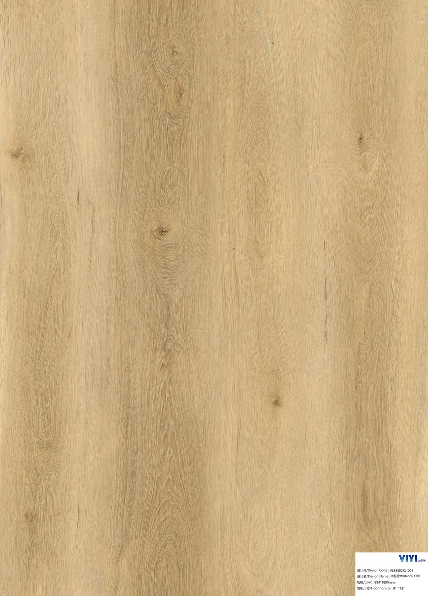 Prime Collection — Salerno Prime