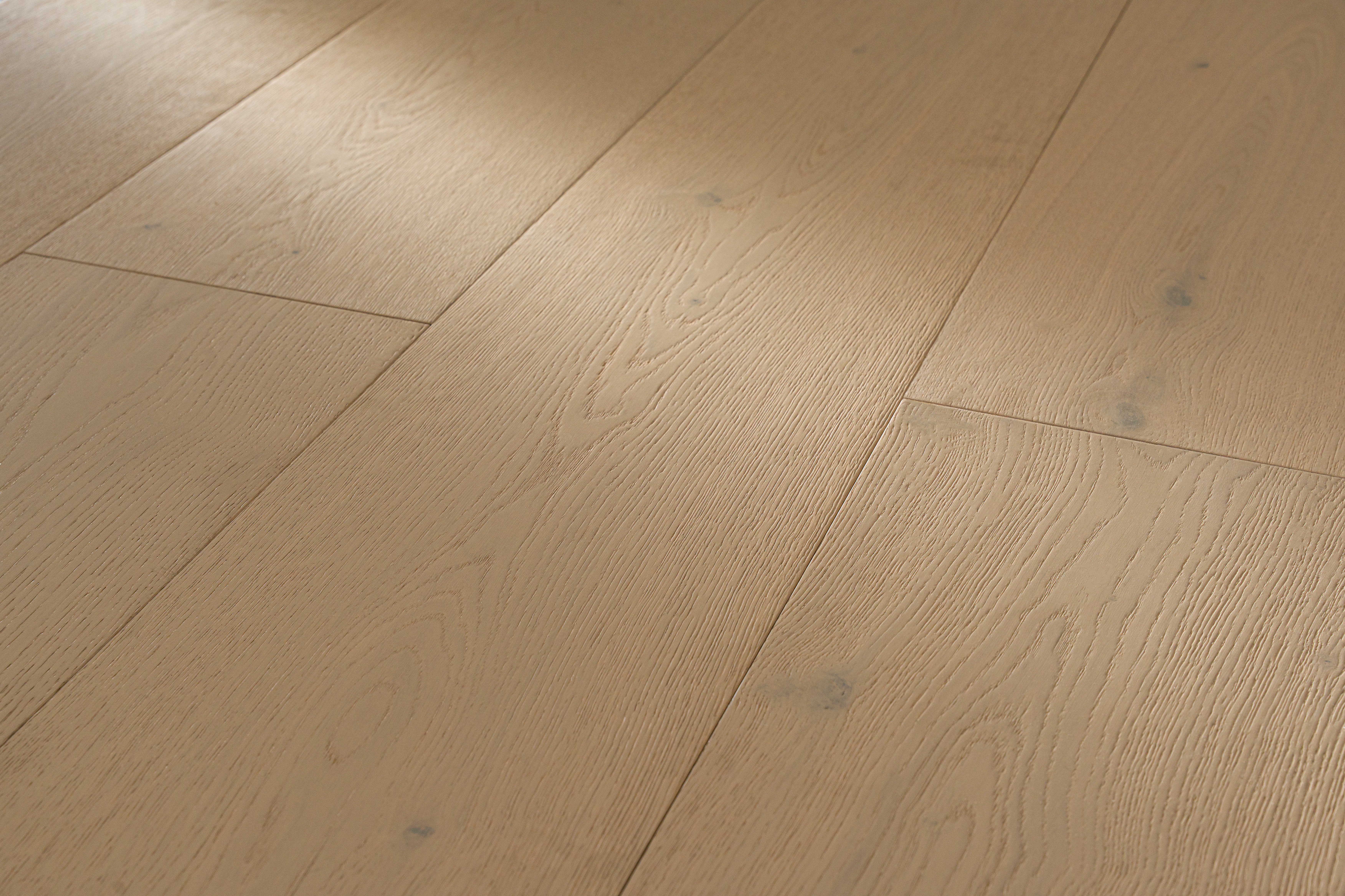 Savona Collection — Coastal Dune