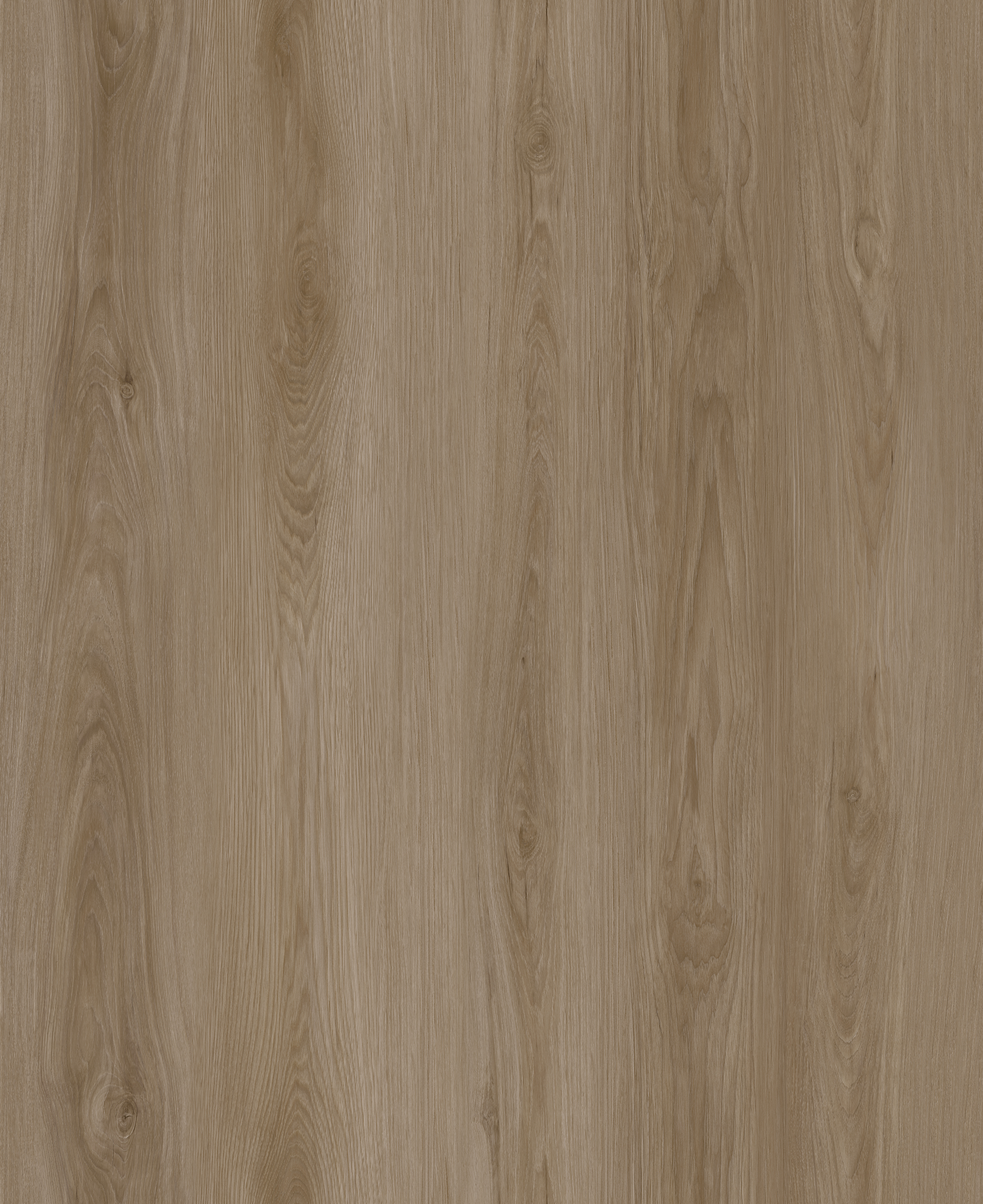 Verona Collection — Carrara Blonde